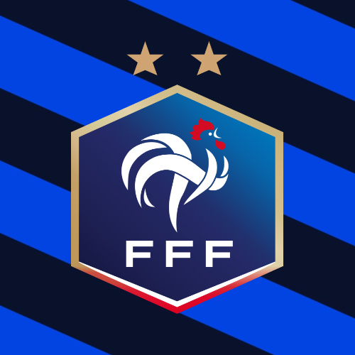 FFF Futsal 2022 - Visul3